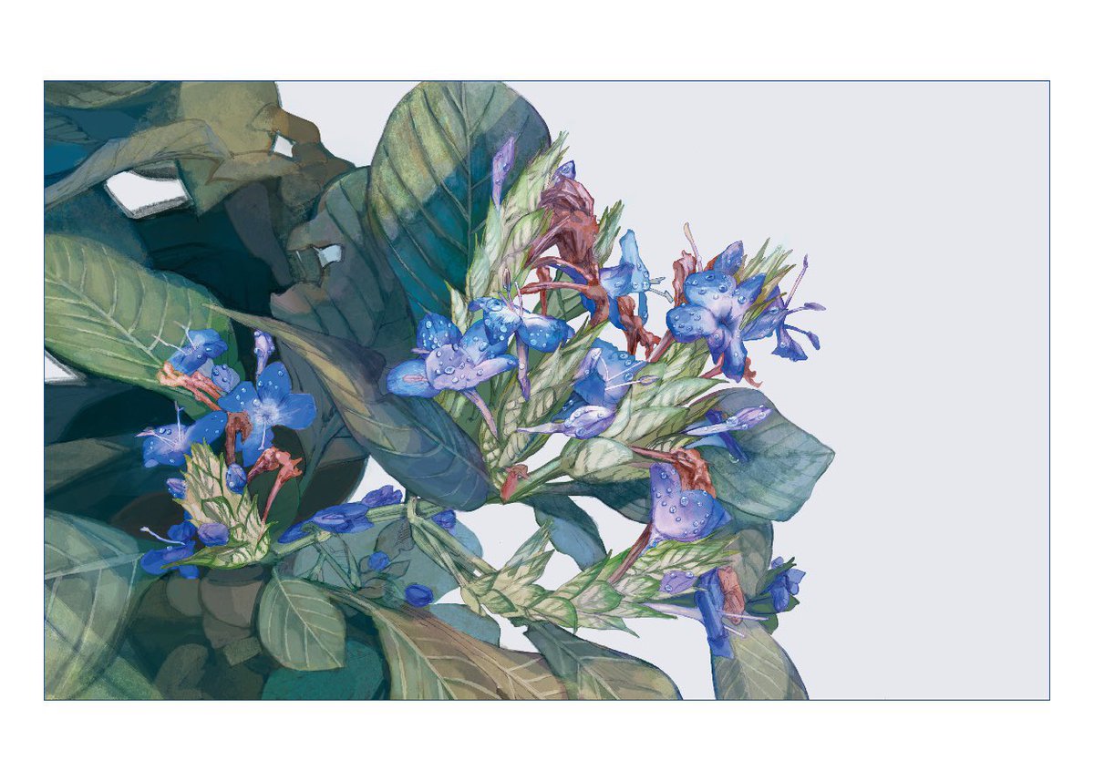 sunoji08's tweet image. 青のある絵