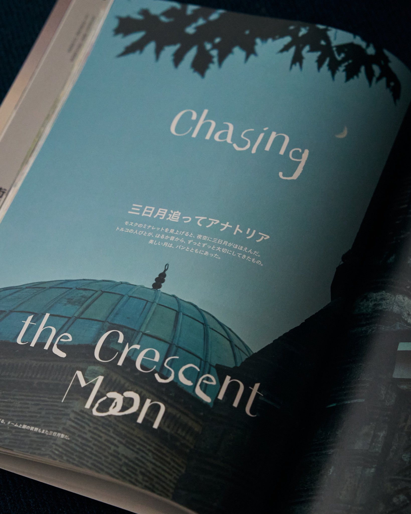 ま*ま様 旅行雑誌 TRANSIT 23冊セット ま*ま様 旅行雑誌 TRANSIT 23冊