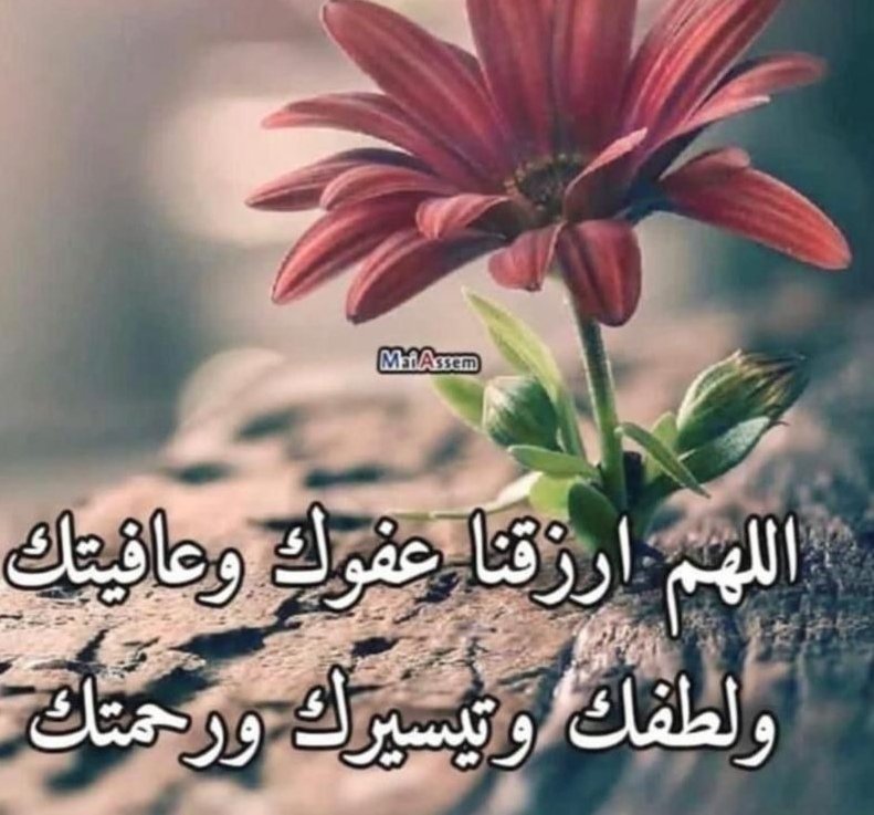 اللهم نسألك صدق التوكل عليك
وحُسن الإعتماد عليك وقوة اليقين بك 
اللهم سخر جوارحنا لطاعتك
 واملأ قلوبنا بحبك

 #يارب