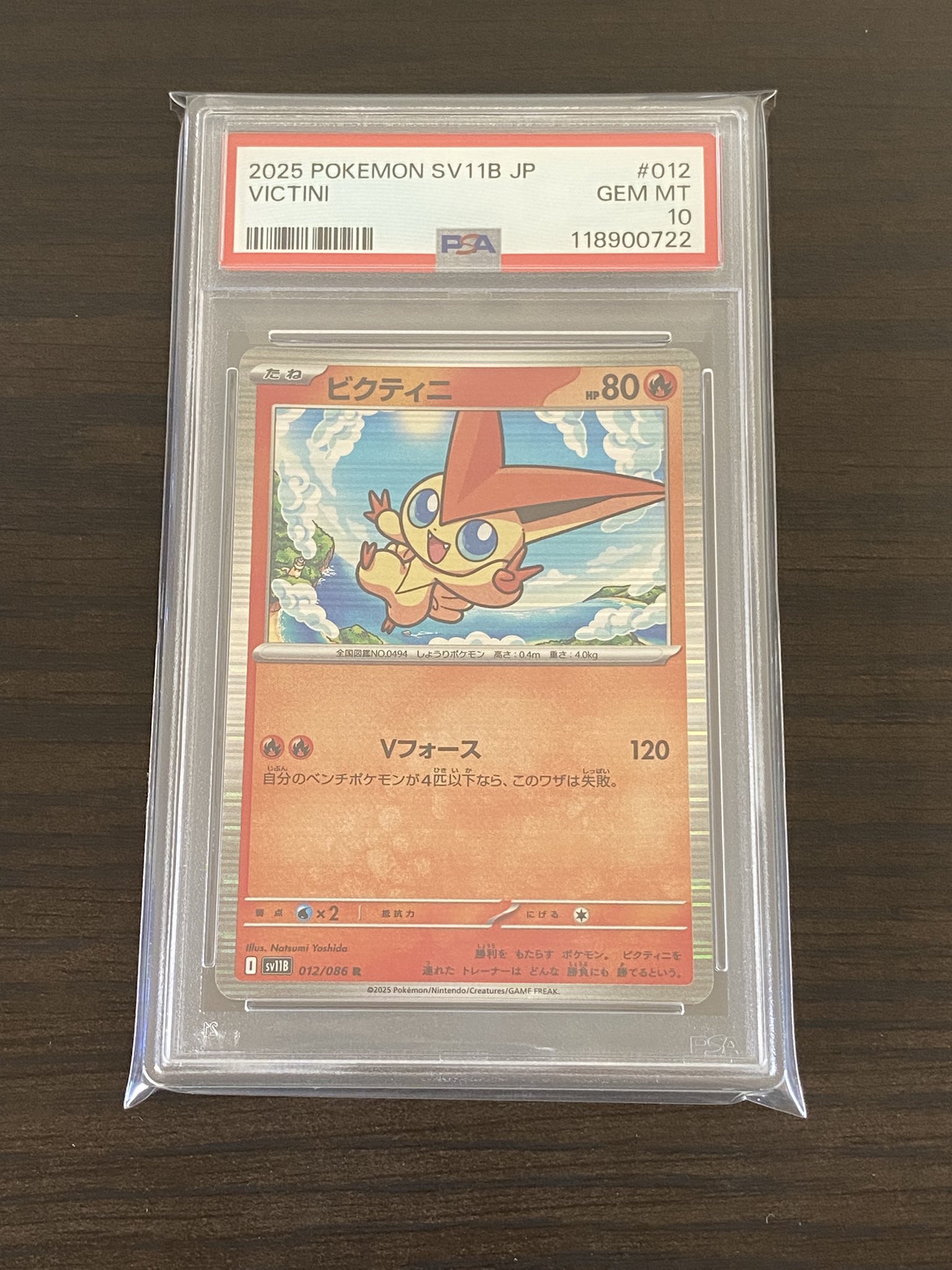プレゼントプレイ TCG SHOP nanamaru@10月オープン予定 on X: 
