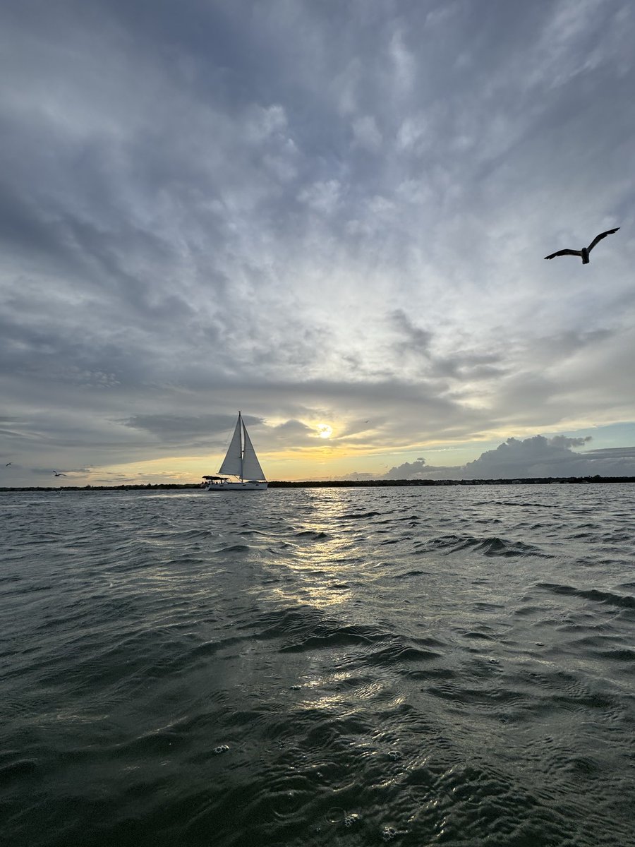 RoamingNC's tweet image. wherever the wind takes you