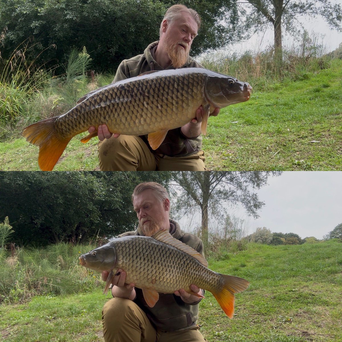 seeking shadows tweet media