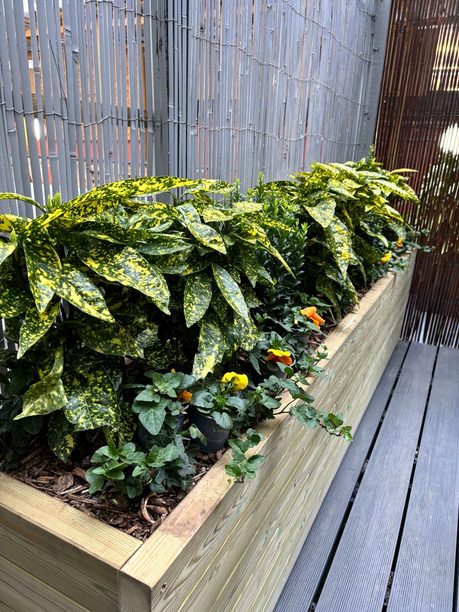 MeristemDesign's tweet image. A community tribute garden🌿  With lush greenery, statement planters and comfy seating, we worked on this welcoming retreat at @TheWesleyLdn Euston, dedicated to members of the local community. ✨  It's open to the public so be sure to stop by! #UrbanGreening #GreenSpaces