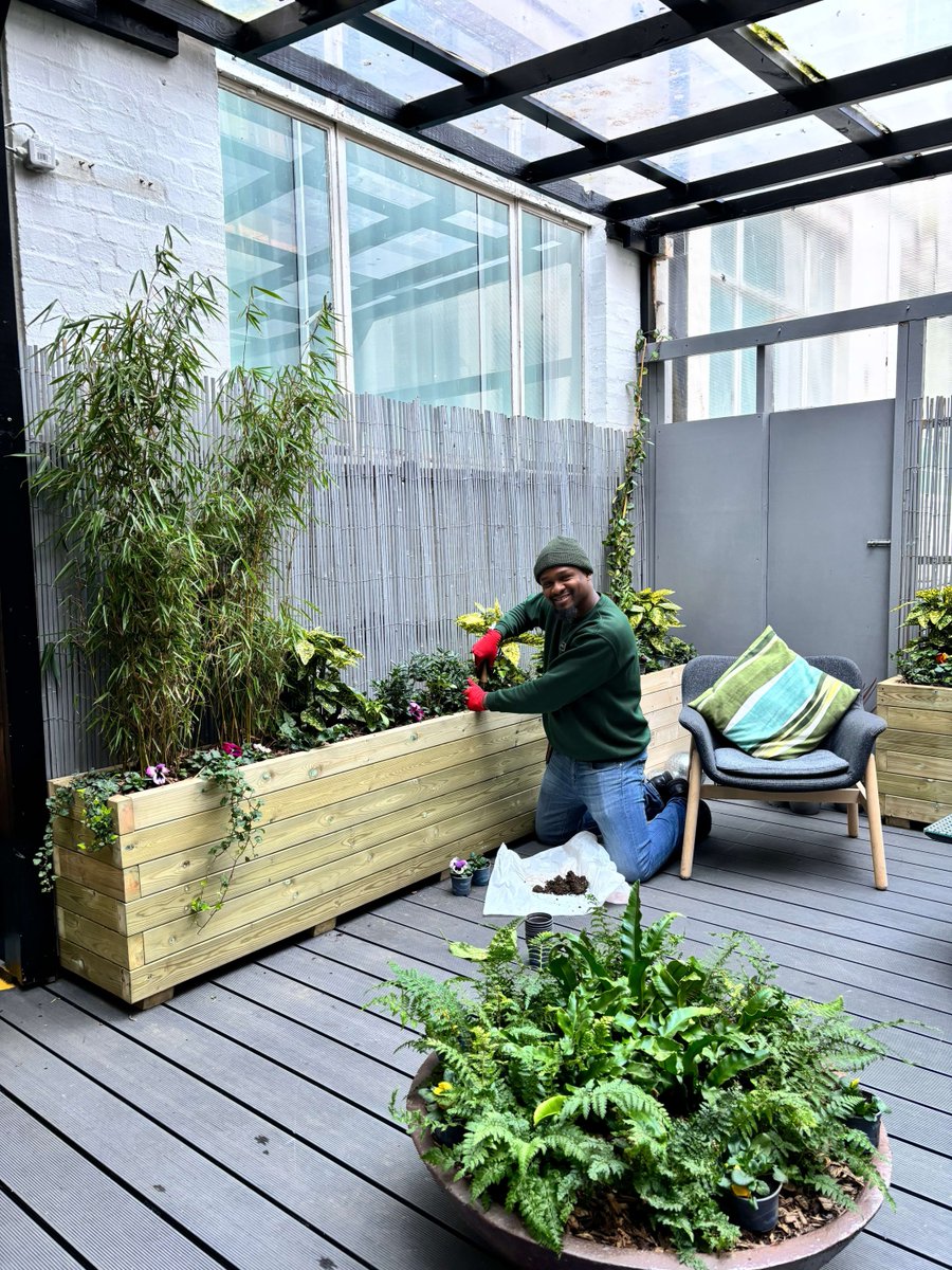 MeristemDesign's tweet image. A community tribute garden🌿  With lush greenery, statement planters and comfy seating, we worked on this welcoming retreat at @TheWesleyLdn Euston, dedicated to members of the local community. ✨  It's open to the public so be sure to stop by! #UrbanGreening #GreenSpaces