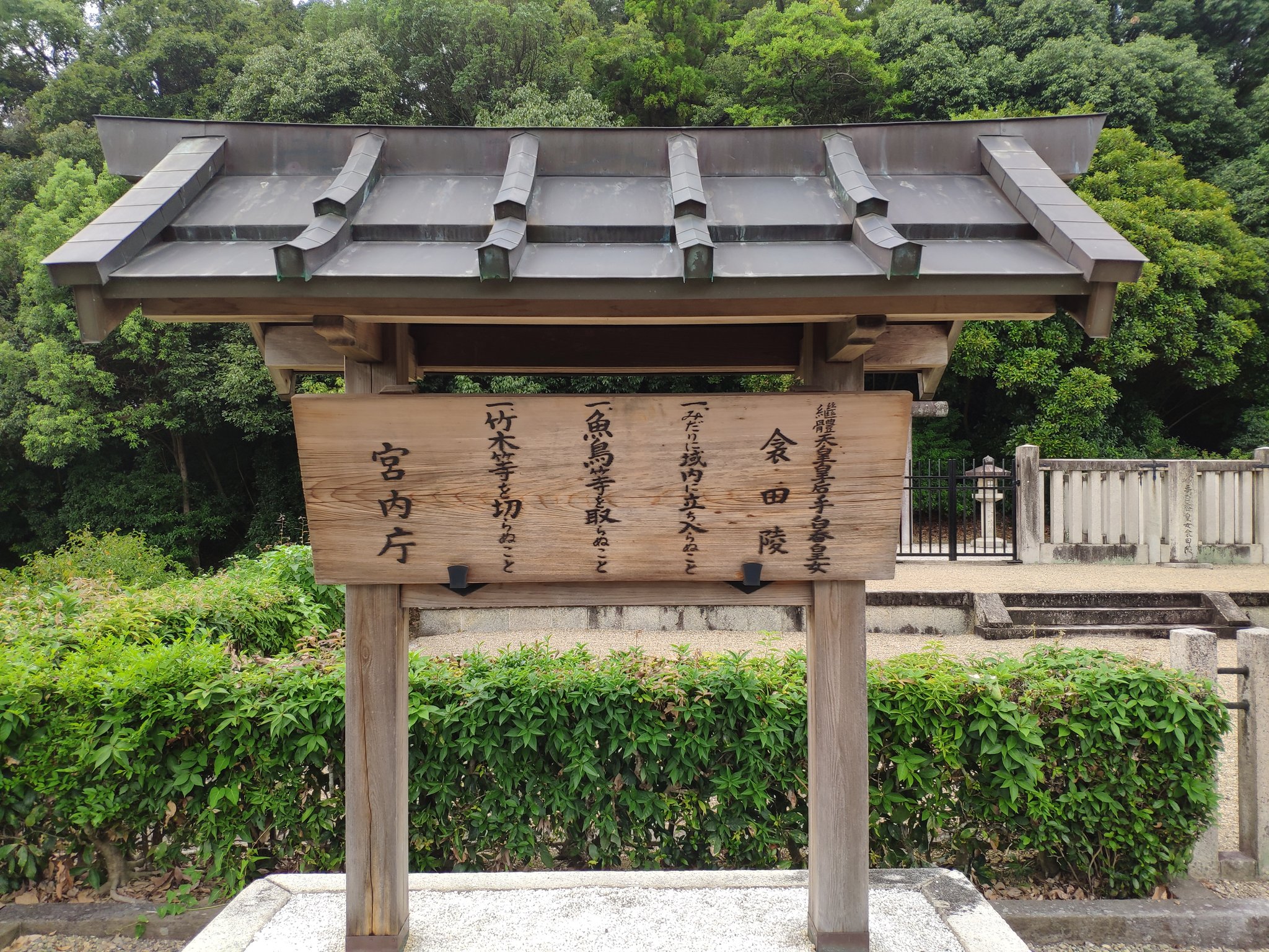 古の墳墓 傷あり　1枚 Foil】《古えの墳墓/Ancient Tomb》[EXP] 土地R | 日本最大級