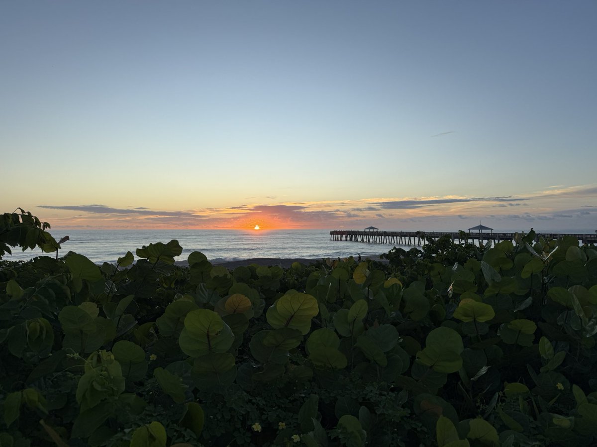 Matt Disney (@disney_lab) on Twitter photo 