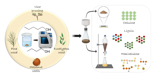 BioDeSost_UVigo's tweet photo. New work on the fractionation of diverse biomass feedstocks and multiple solvents in biphasic systems, highlighting advances in selectivity and efficiency, within the framework of the BioMultiPro project (ED431F2023/03).
https://t.co/gJLc3M0TDb https://t.co/dVBXGTFJEj