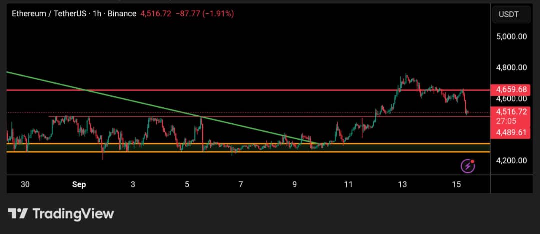 Open4profit tweet media