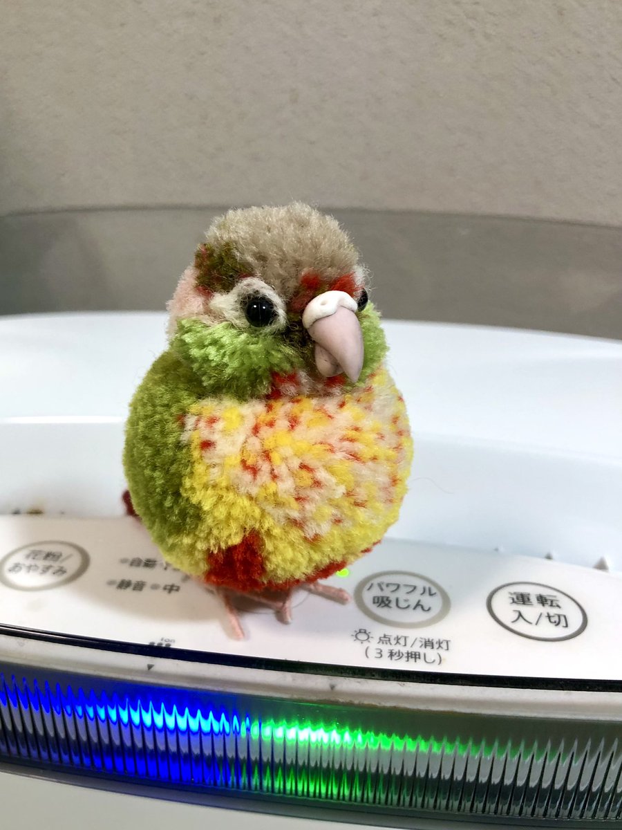 可愛いウロコちゃん
みいちゃんが敵認定しました💦💦