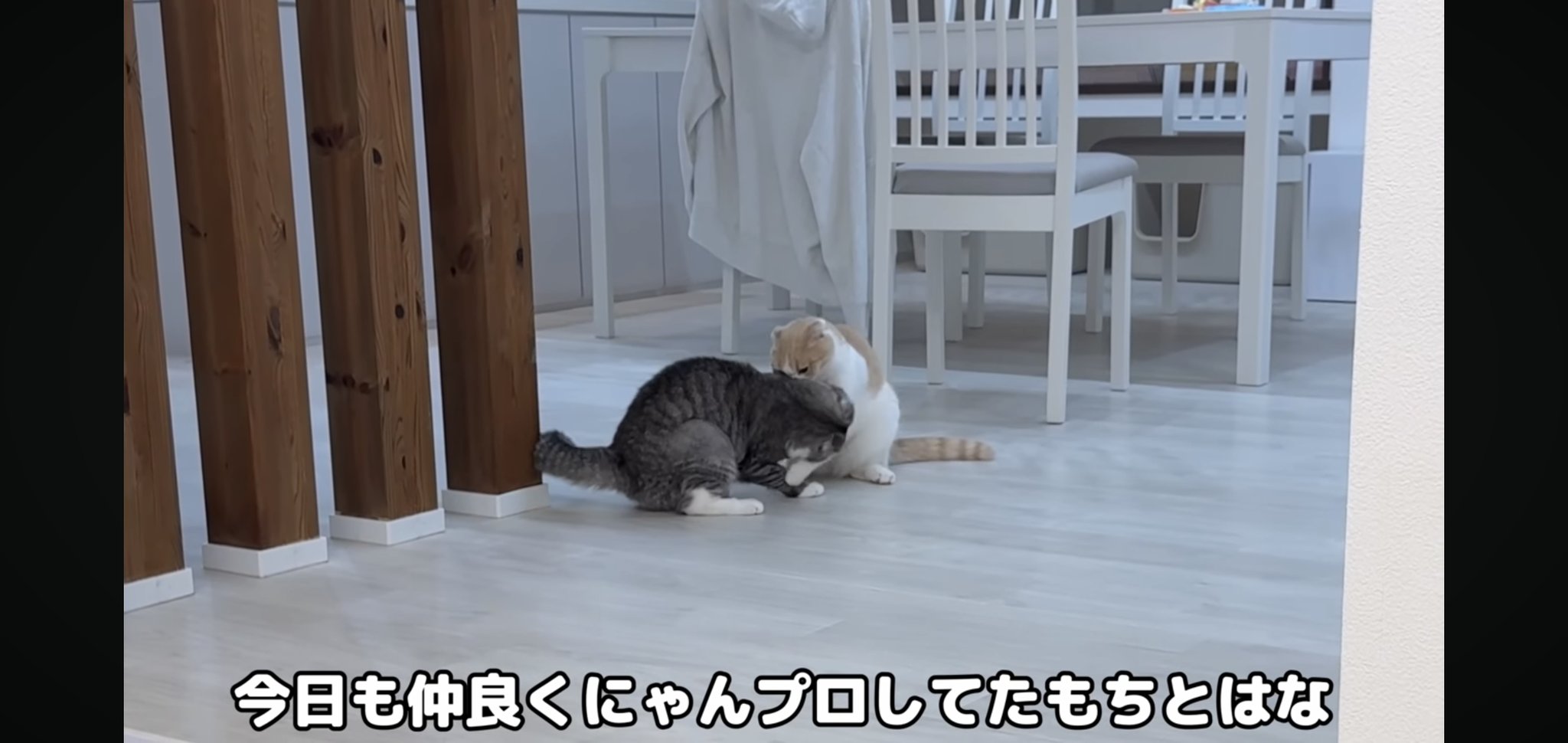 もちさまお取り置きのお品です mqdefault.jpg