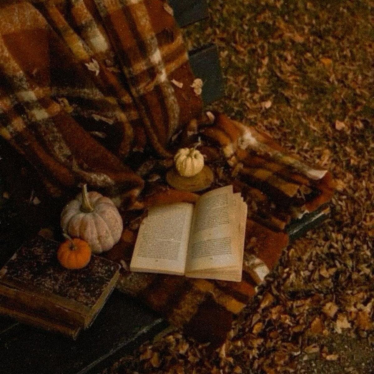 _Victorry__'s tweet photo. Дощ, темрява, жовте листя…🍂🍵
Усе це ознаки чудового осіннього дня.
Пропоную зібрати милий аутфіт для естетичної прогулянки 🎃🎞️
#interactivethread #інтерактив #укртві https://t.co/FwjpxSuXU9