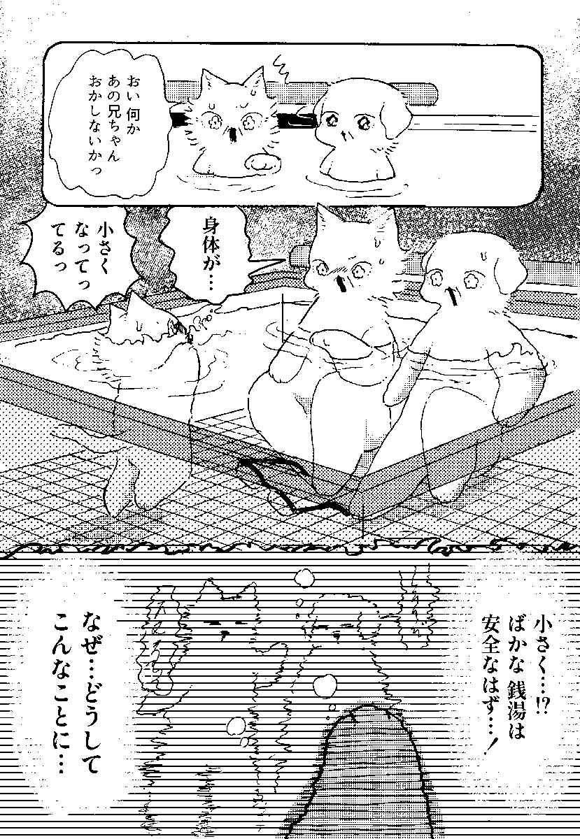 (5/9) 