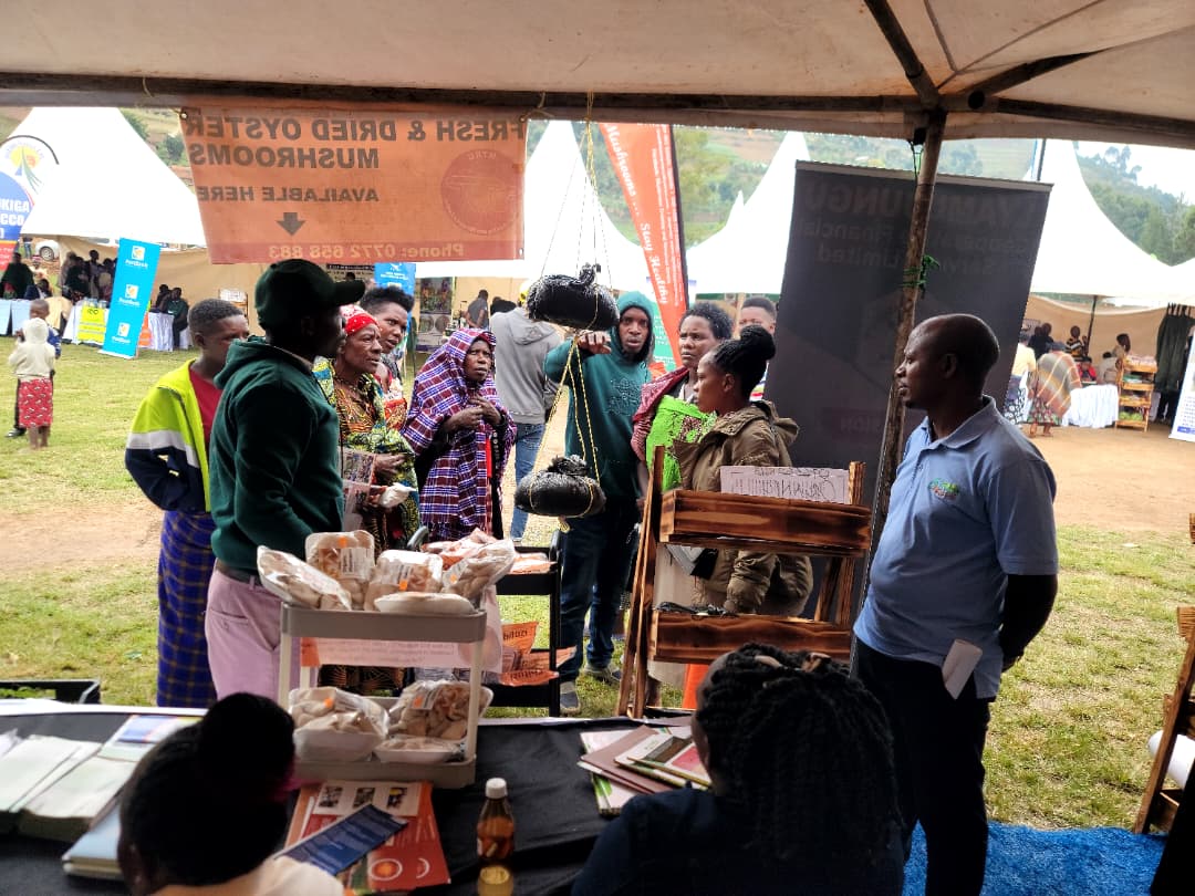 MTRCuganda's tweet photo. We proudly exhibited at the Outreach, Learning & Sensitization Event in Rubanda under the #CommonGroundProject 🍄.
Showcased: spawn, gardens, dry & powdered mushrooms.
Thanks to @MAAIF_Uganda , @narouganda , @NLinUganda , @IFDCGlobal , @Agriterra & partners for the collaboration https://t.co/0REPRob2kn