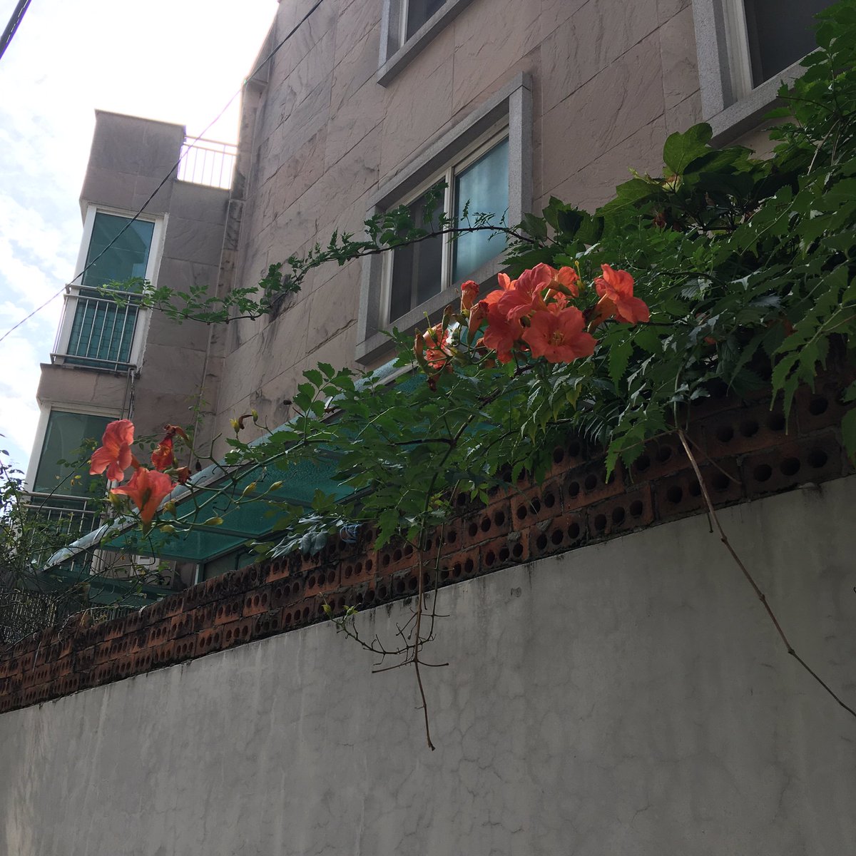 구•아로 찍은 사진