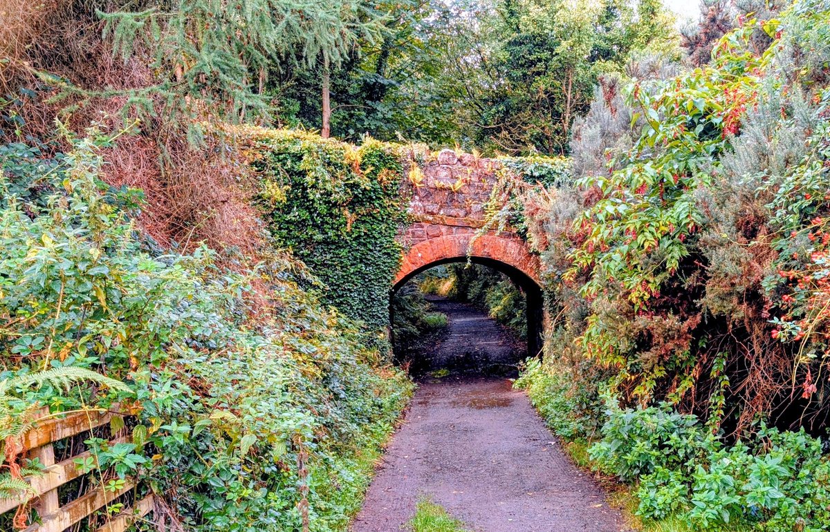 Ballycastle's Old Railway Track <a href="/deric_tv/">Deric</a> <a href="/R_Faragher/">Rick Faragher</a> <a href="/linzilima/">Linzi Lima</a> <a href="/bbcweather/">BBC Weather</a>  <a href="/LoveBallymena/">Love Ballymena</a> <a href="/WeatherCee/">Cecilia Daly</a>    <a href="/Louise_utv/">Louise Small</a>  <a href="/WeatherAisling/">Aisling Creevey</a> <a href="/barrabest/">Barra Best</a> <a href="/Ailser99/">Aileen Moynagh</a>  <a href="/angie_weather/">angie phillips</a> <a href="/geoff_maskell/">Geoff Maskell</a> <a href="/organicbotanic/">Sue McBean - @organicbotanic.bsky.social</a> <a href="/Schafernaker/">Tomasz Schafernaker</a> <a href="/Ali_Totten/">Ali Totten</a>