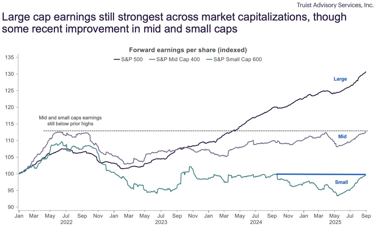 すべての時価総額規模で、前年比の利益成長が見込まれている。 大型株の利益が最も大きな成長を示す見込みである。 小型株 の改善も注目すべきものだが、これまでのところほとんど成長していない。