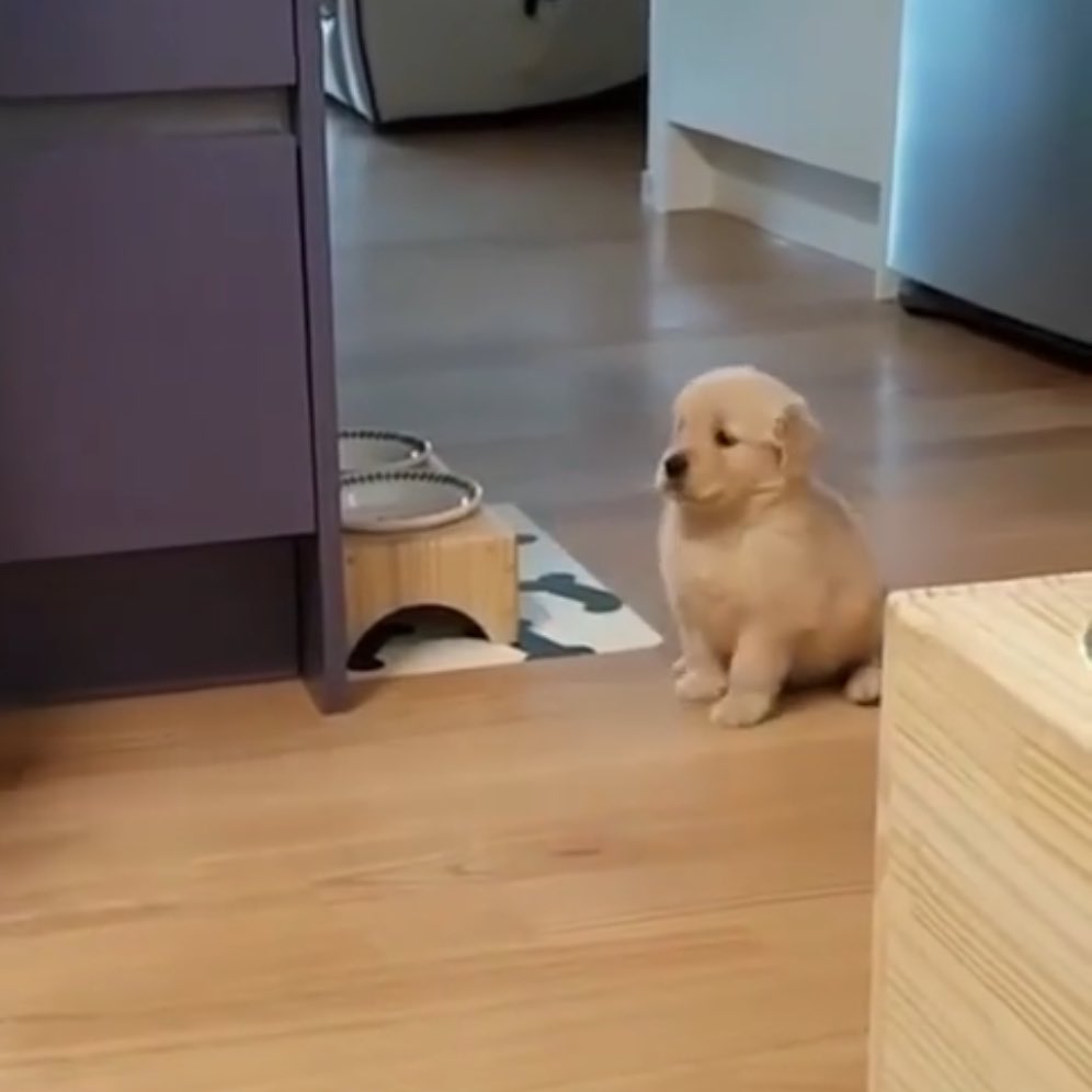 takemybear 🐶 tweet media
