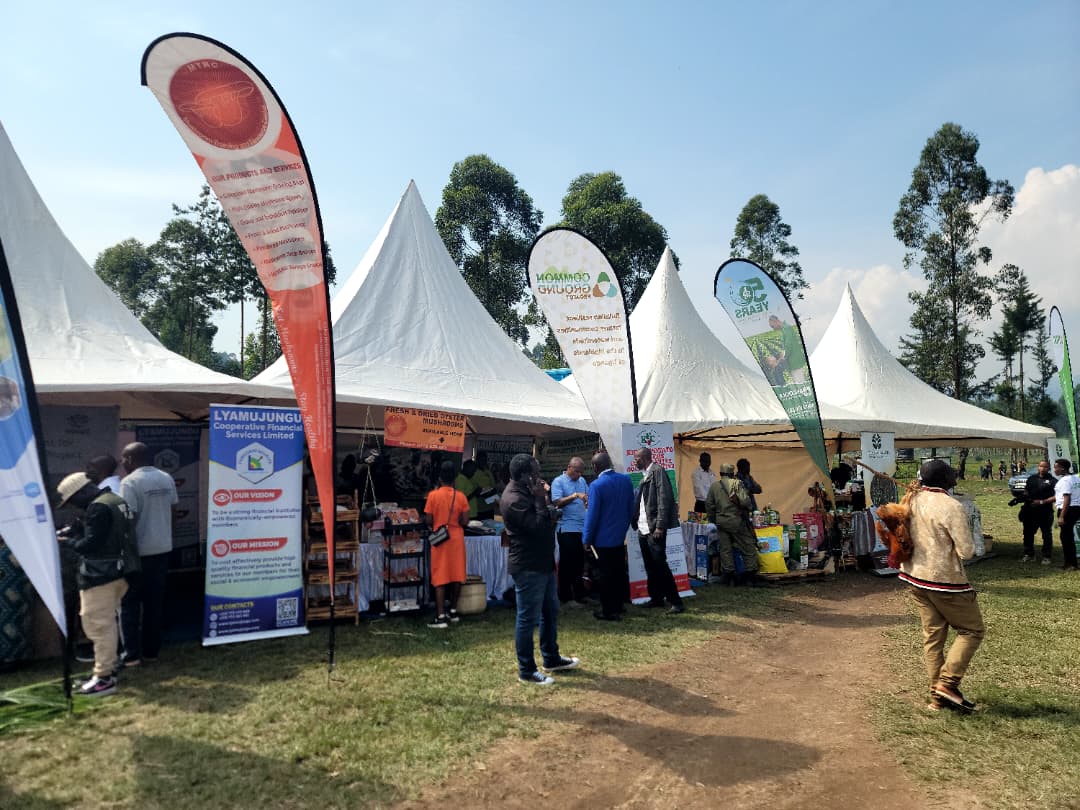 MTRCuganda's tweet photo. We proudly exhibited at the Outreach, Learning & Sensitization Event in Rubanda under the #CommonGroundProject 🍄.
Showcased: spawn, gardens, dry & powdered mushrooms.
Thanks to @MAAIF_Uganda , @narouganda , @NLinUganda , @IFDCGlobal , @Agriterra & partners for the collaboration https://t.co/0REPRob2kn