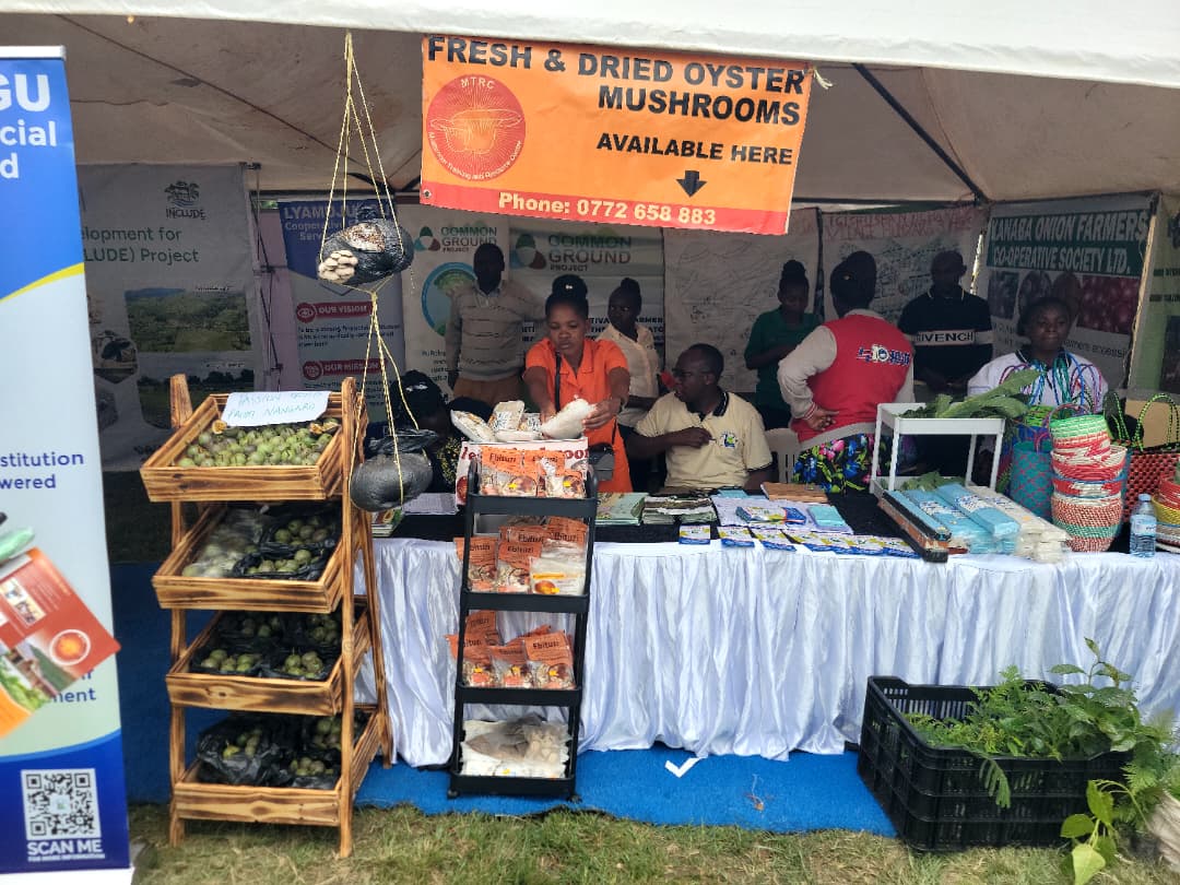 MTRCuganda's tweet photo. We proudly exhibited at the Outreach, Learning & Sensitization Event in Rubanda under the #CommonGroundProject 🍄.
Showcased: spawn, gardens, dry & powdered mushrooms.
Thanks to @MAAIF_Uganda , @narouganda , @NLinUganda , @IFDCGlobal , @Agriterra & partners for the collaboration https://t.co/0REPRob2kn