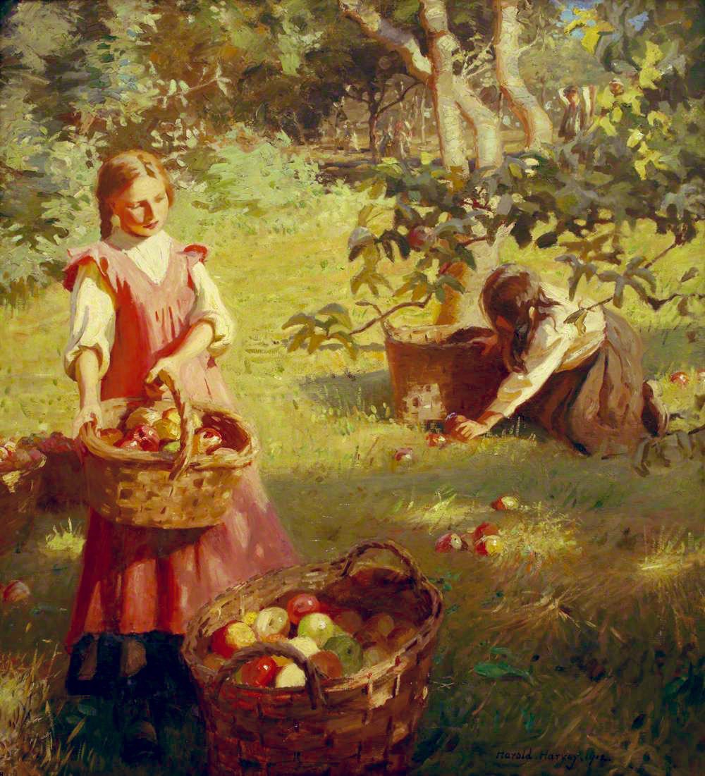though summer was not yet gone, her face was turned westering. The asters lettered her retreating footsteps in a purple script…The apples began to burn red on the bending boughs…the sunshine was as thick and yellow as molten gold;…

THE STORY GIRL
🎨 Harold C. Harvey
#apples