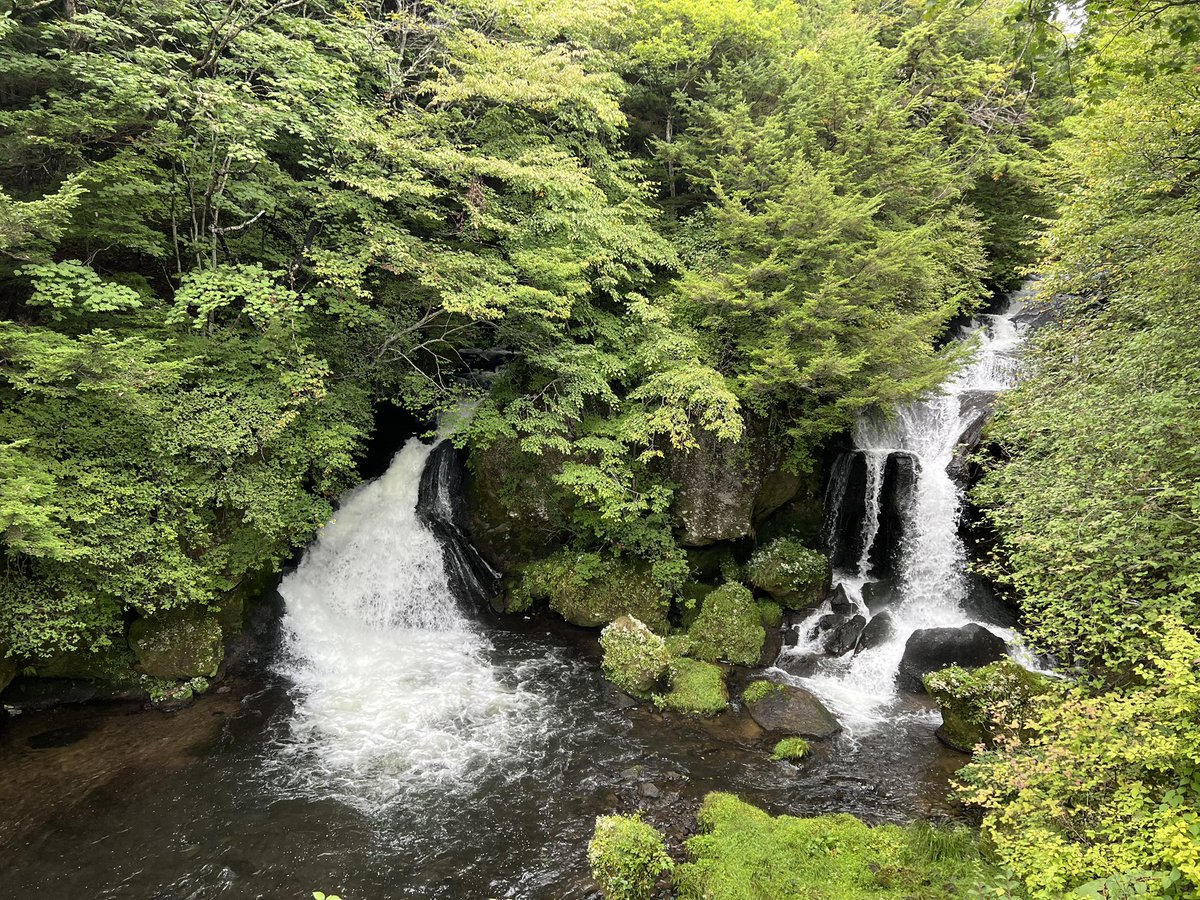 AnnaSinTokyo's tweet photo. 日光の滝！！！ https://t.co/L7qAKQLPuP