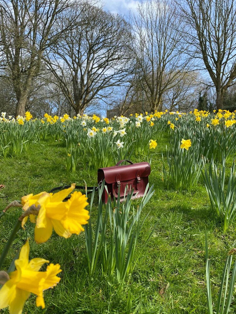 SchanemanB29780's tweet image. Last night read US jobs report revised down by up to 911000 positions from last year expectations. Economy like my fabric inventory miscounted shortage. Market volatile. I think designers need flexible adjustments economy should too.