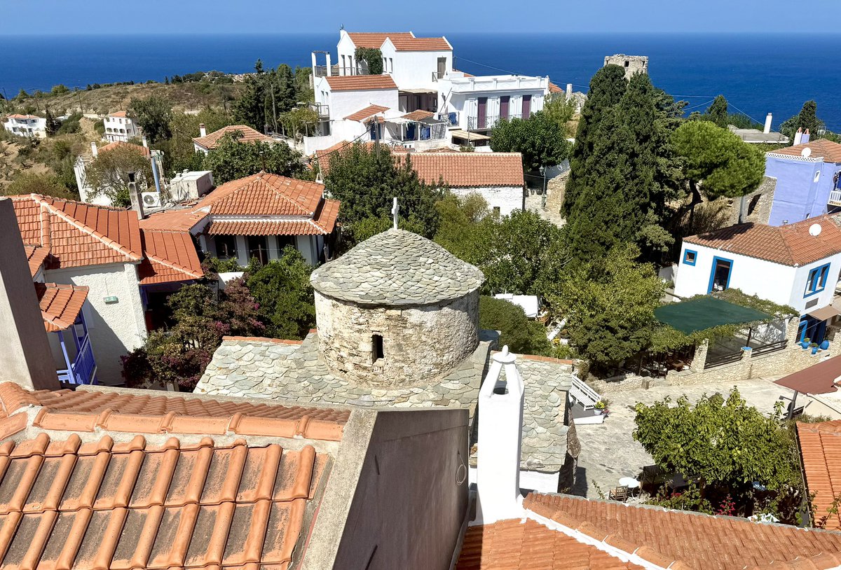 Reece Dinsdale tweet media