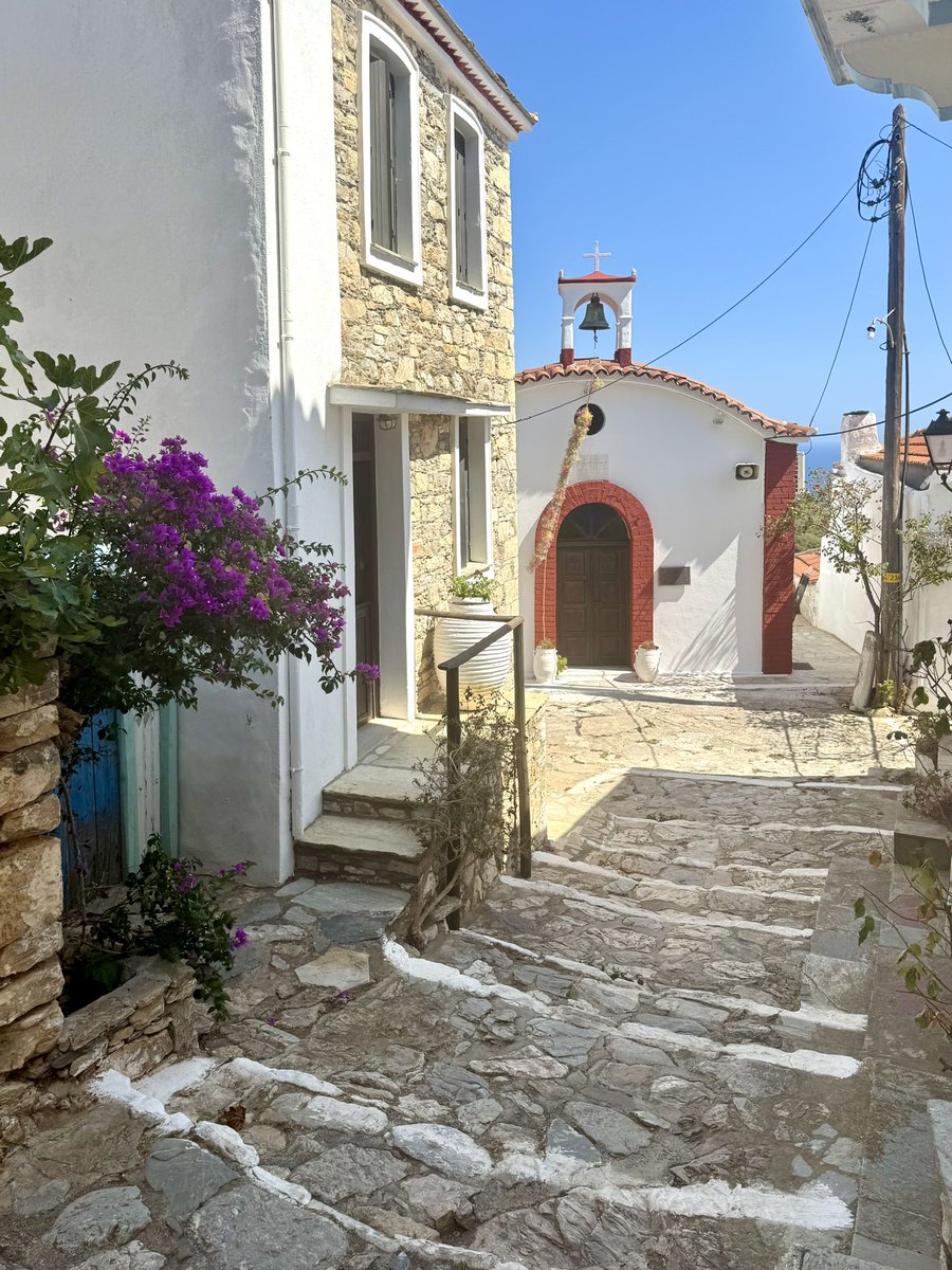 Reece Dinsdale tweet media