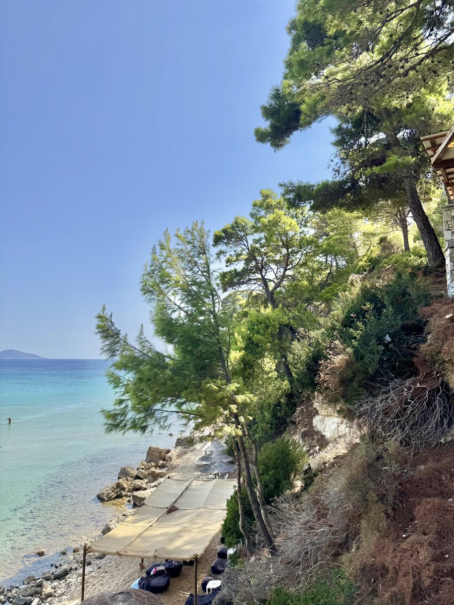 Reece Dinsdale tweet media