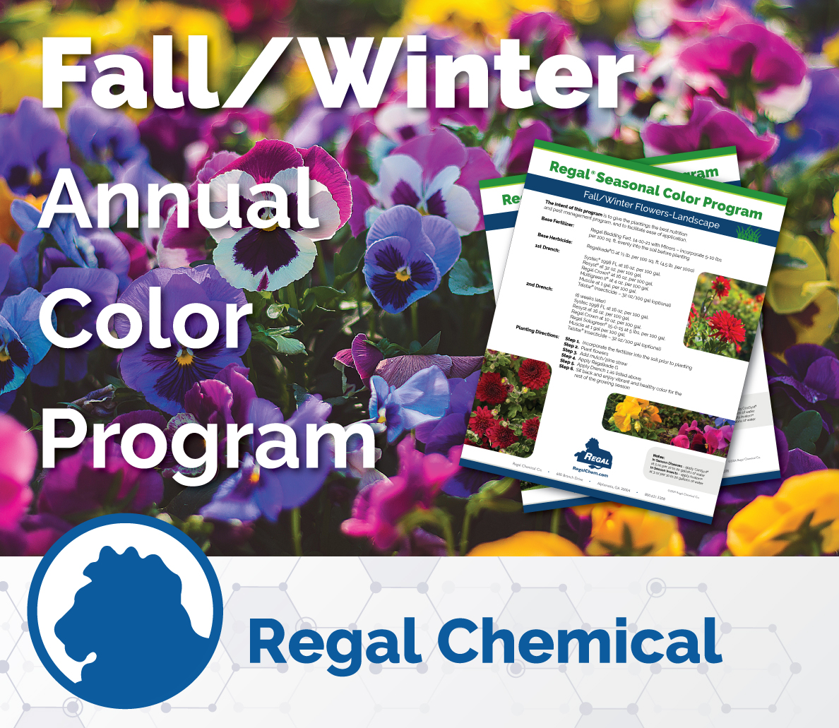 Fall's annual flower beds can brighten up any property. With Regal’s Fall Color Program, success is just a few easy applications away! bit.ly/4n0qrUt