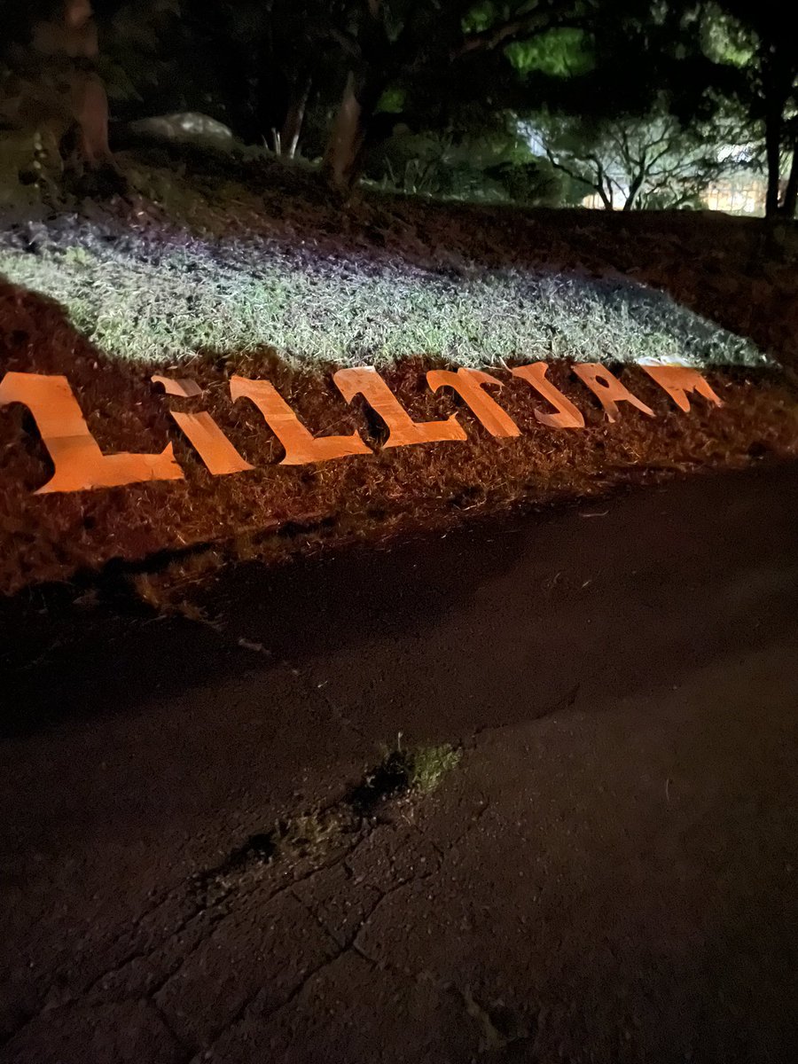 🌲LiLLYJAM2025🌲
😭🙏無事終了🙏😭

9.13satそして9.14sun来場された皆さん、ありがとうございました
無事終了致しました

良い日になりましたか？

バンド、DJ、アイドル、フード　そしてロケーション、爆音。
どれもが夏の終わりの良い思い出になればと思います

ありがとう

#LiLLYJAM2025