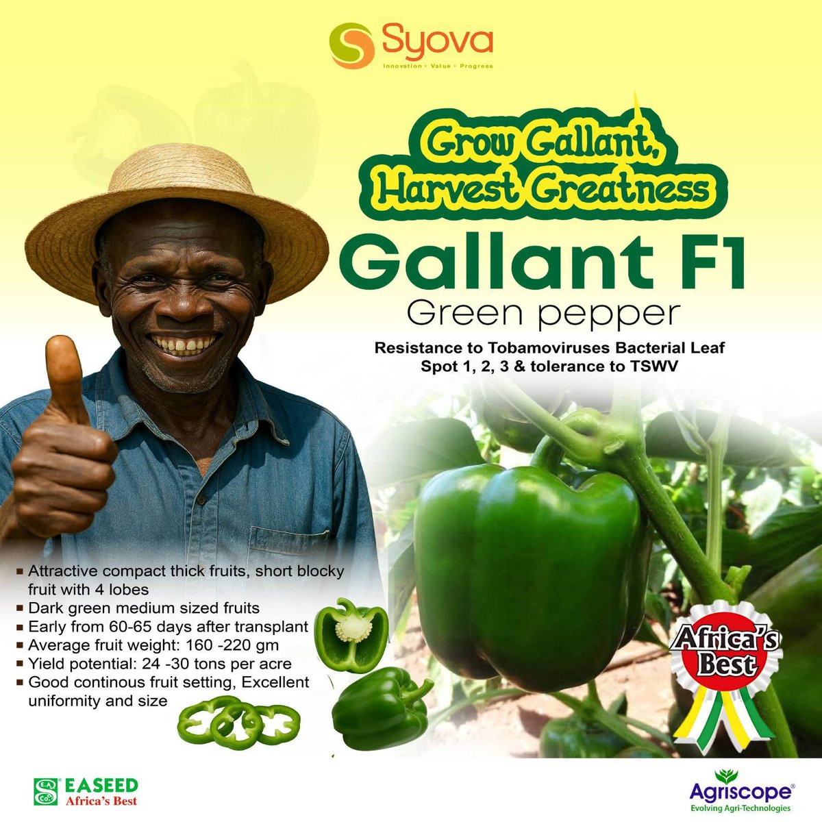 a_syova's tweet photo. Gallant F1 β The Pepper That Pays! π±π°
Harvest in 60β65 days after transplanting, yield 24β30 tons/acre, and beat diseases with unbeatable resistance.
π Grow smart. Sell big. Profit more.
#GallantF1 #SmartFarming #SyovaSeedUG #FarmForProfit https://t.co/9qVGjB9quh