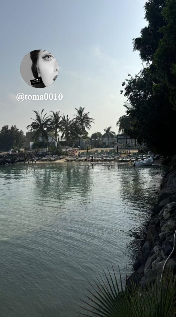 toma0010's tweet image. أما المحبّة وضعها وضع حسّاس
أغار حتى فـ الهوى من ظلالي

ماني بـ أحب اللي يحبونه الناس 
أنا أحب اللي .. أحبّه / لحالي 🌸💕

#راقت_لي 👌🏼