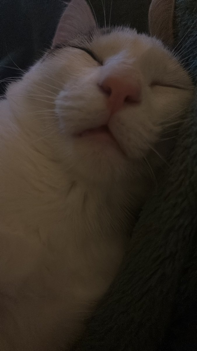 profmafe's tweet image. minha bebezinha..