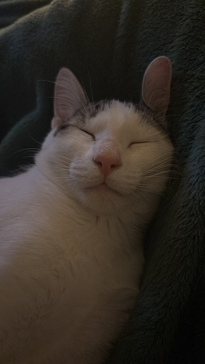 profmafe's tweet image. minha bebezinha..