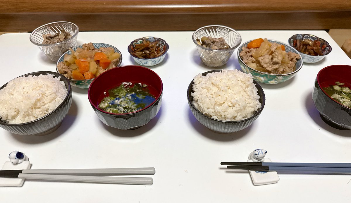 久々にちゃんとした晩御飯作った