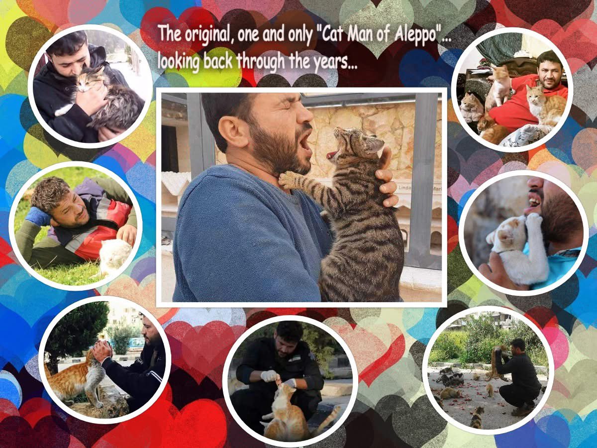 The Authentic Cat Man From Aleppo tweet media