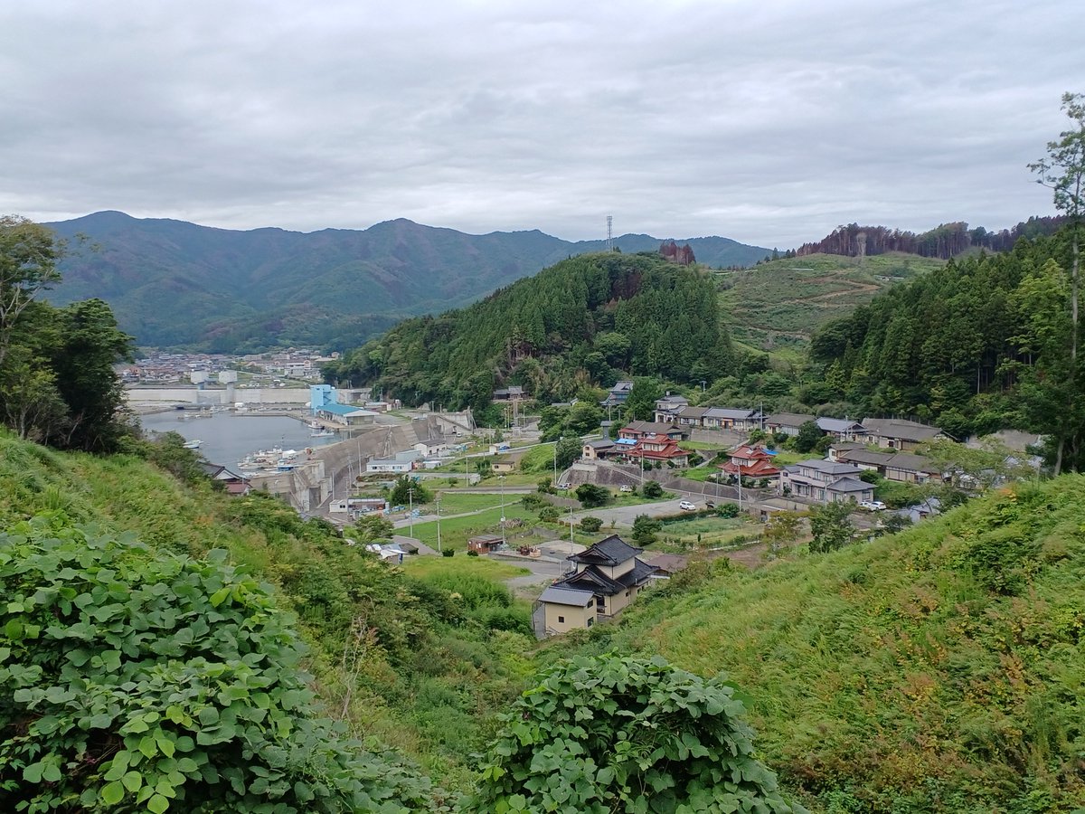 木村 周平 Shuhei Kimura tweet media