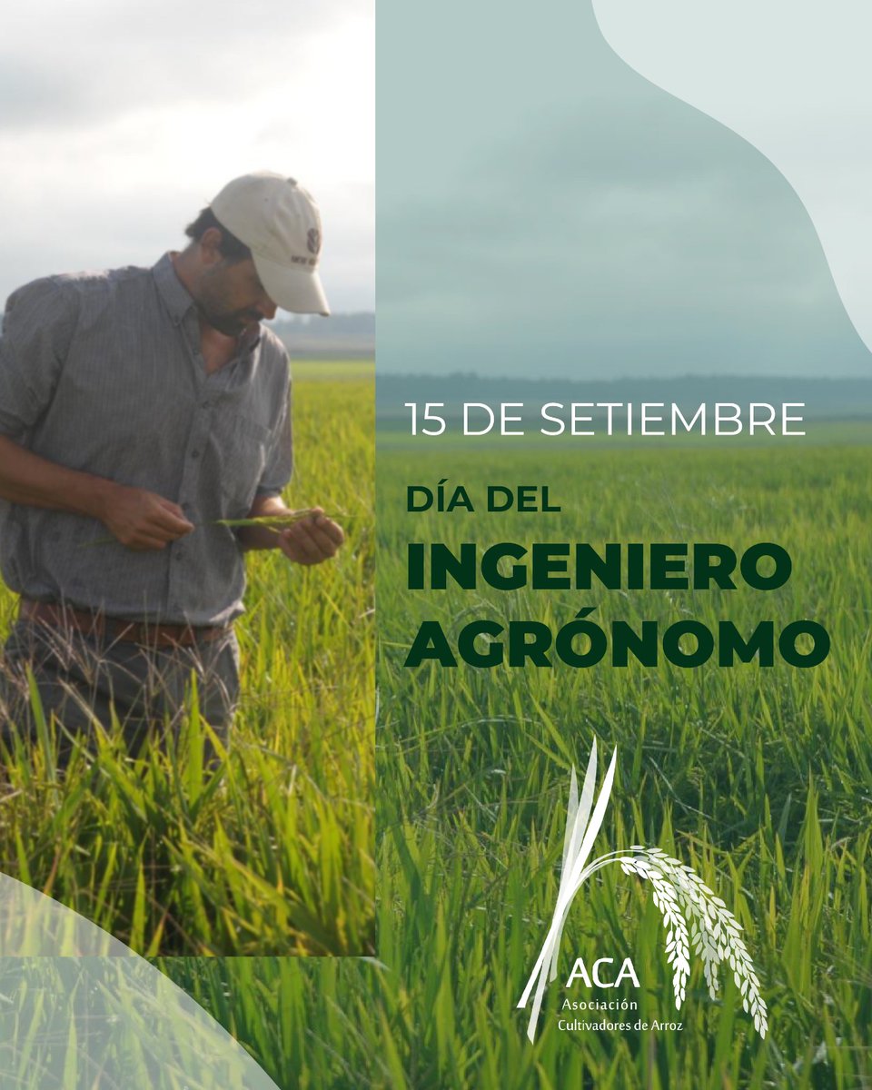 ACAoficial's tweet photo. •• Día del Ingeniero Agrónomo ••

Desde @ACAoficial celebramos y agradecemos a quienes con su ciencia, innovación y compromiso fortalecen la producción arrocera y el agro uruguayo 🌾🇺🇾

Feliz día! https://t.co/PPINmS0NmU