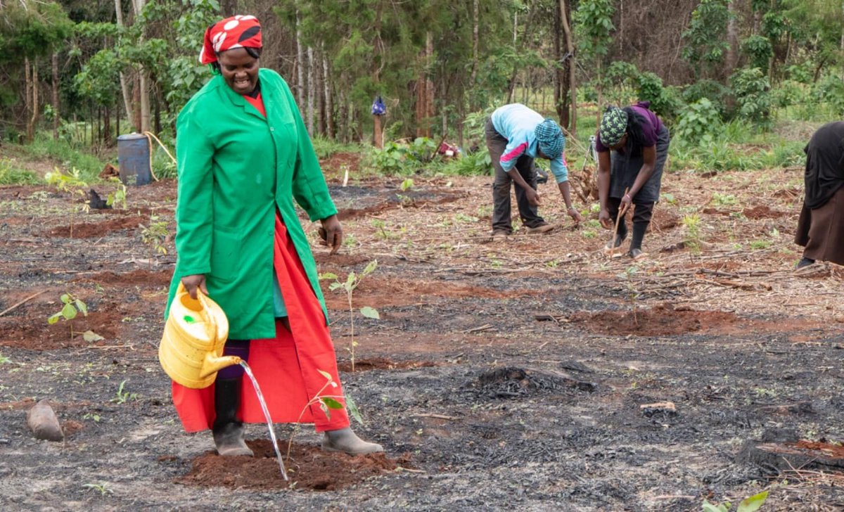 Stellah Kaviti tweet media