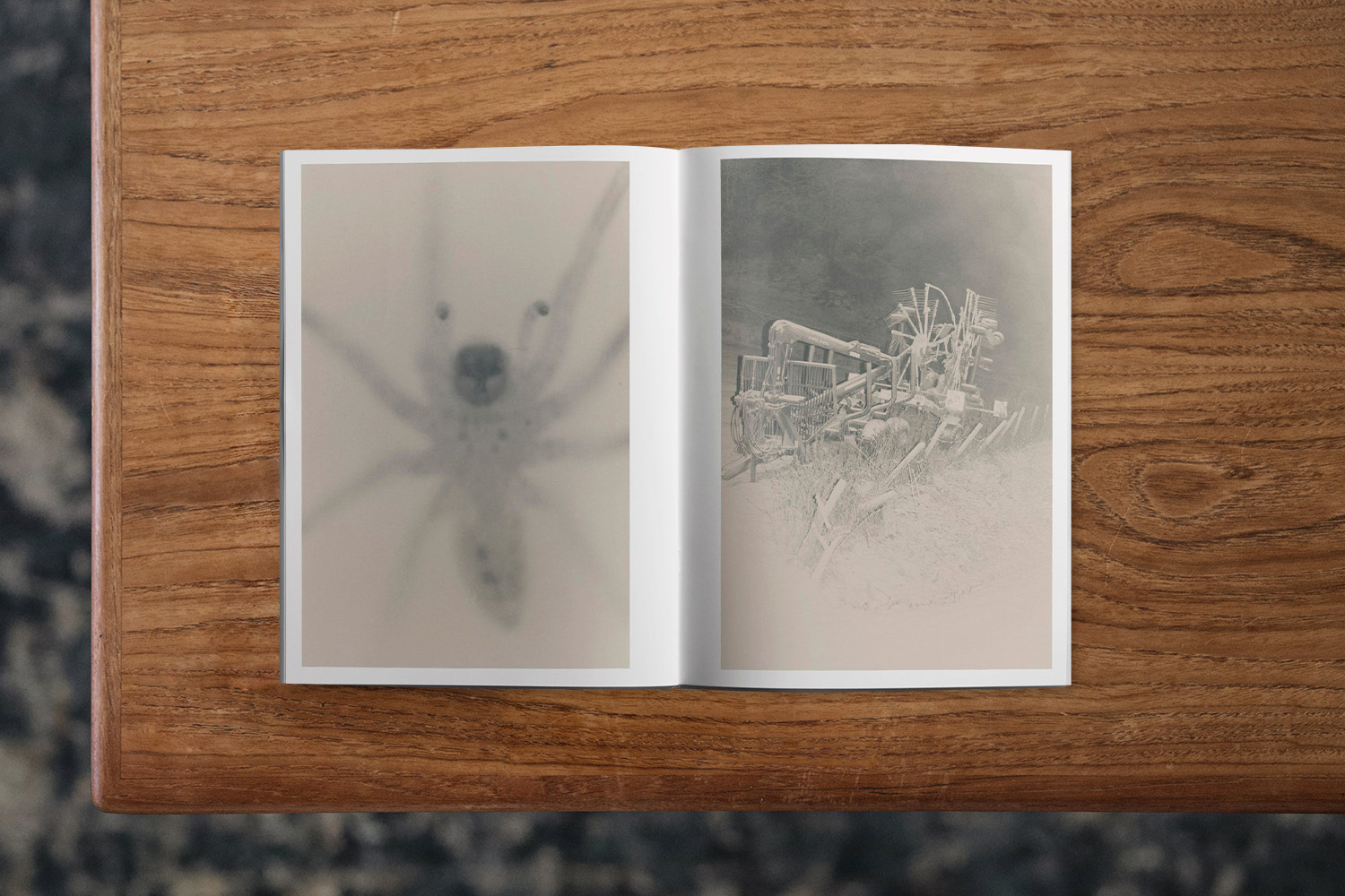 サイン入り Ola Rindal: Invisible オラ・リンダル BOOK AND SONS on X: 