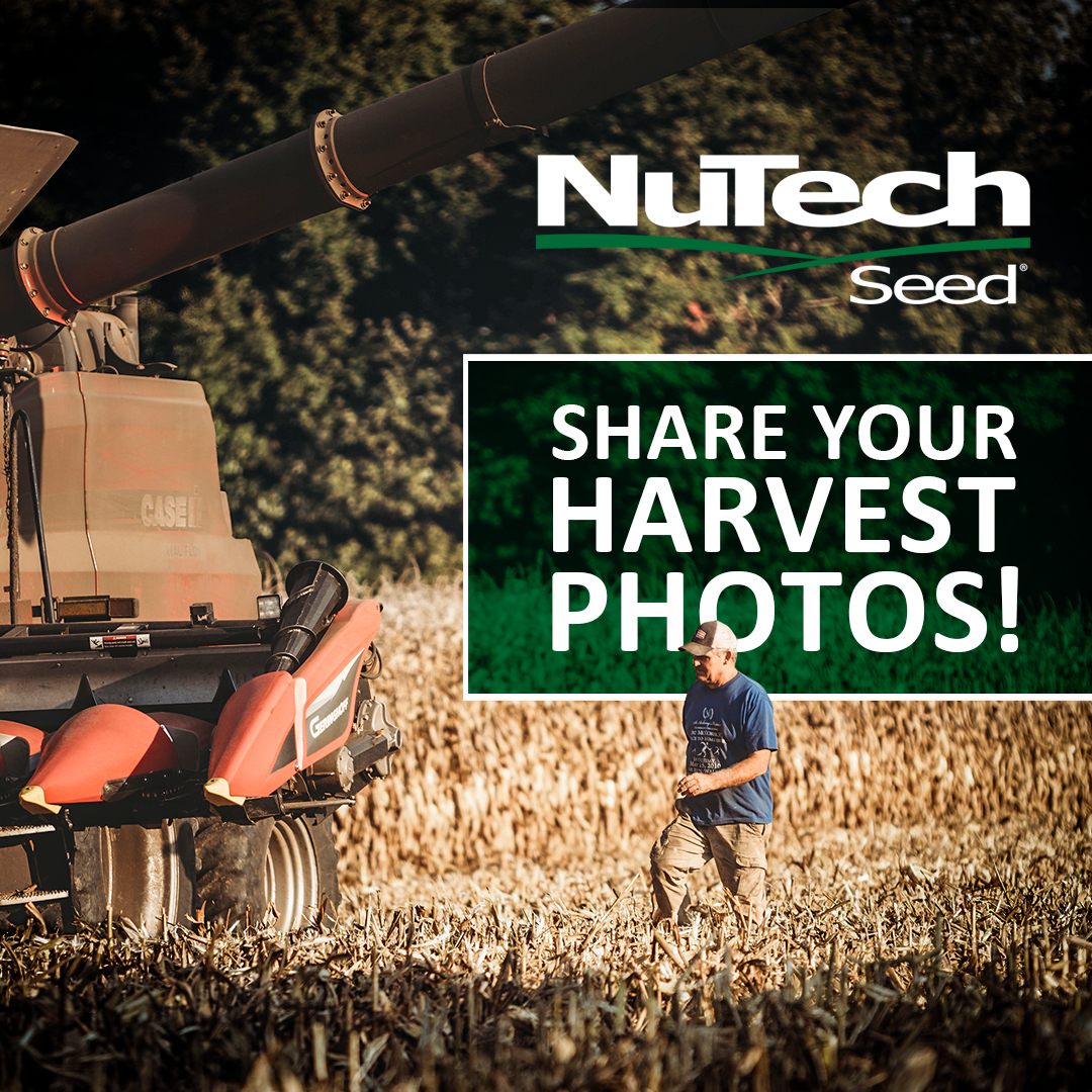 Harvest season is here, NuTech farmers! 🎉 Celebrate with us by sharing your harvest photos in the comments! #HarvestPics #NuTechSeed