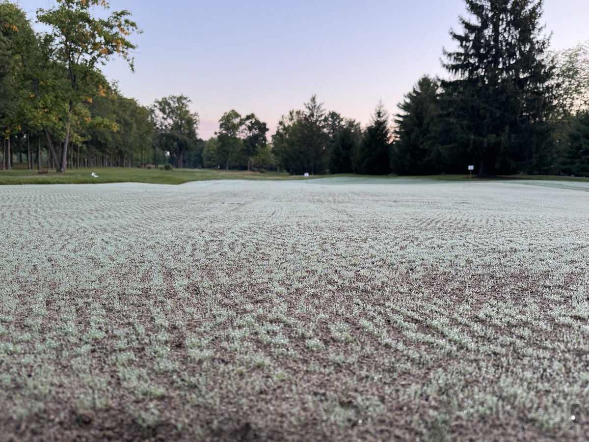 Bridgewater Grounds tweet media