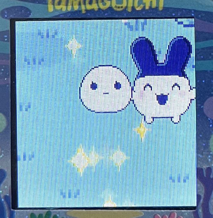 ふらわっちの可愛いお目目になったから、このままみみっちにするぞ‼️