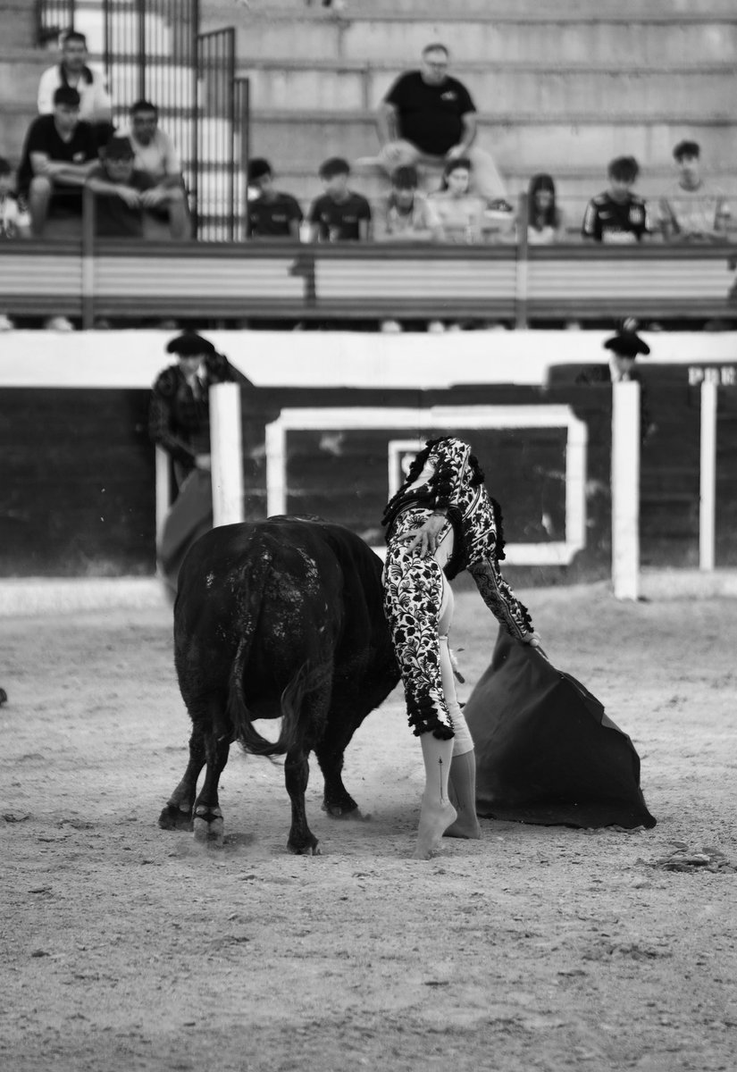 Gómez del Pilar tweet media