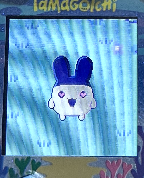 ラブラブあいす食べさせた🍨