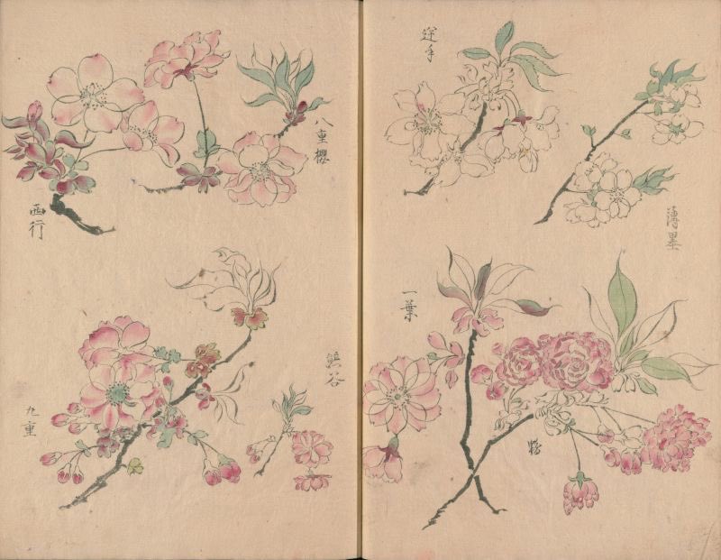 controdicting's tweet image. 