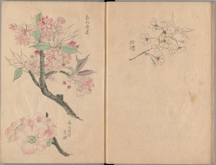 controdicting's tweet image. 