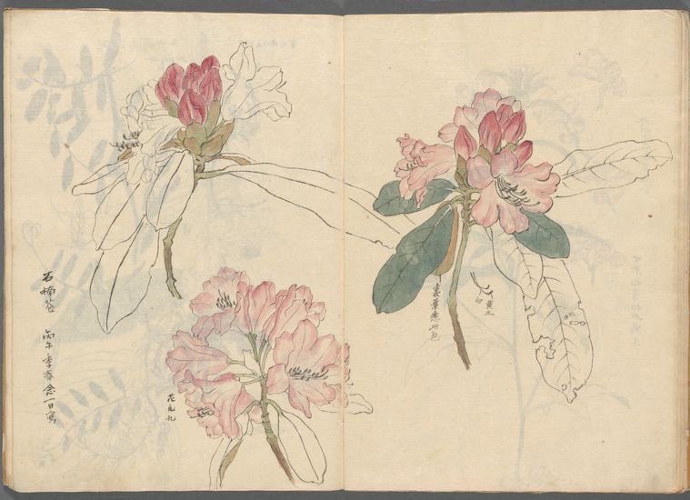 controdicting's tweet image. 