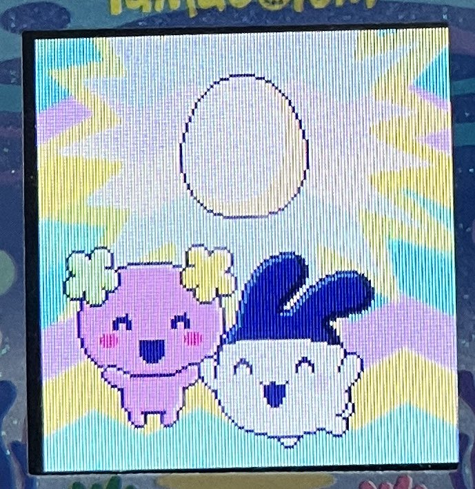 すぐふらわっちとブリードできた‼️